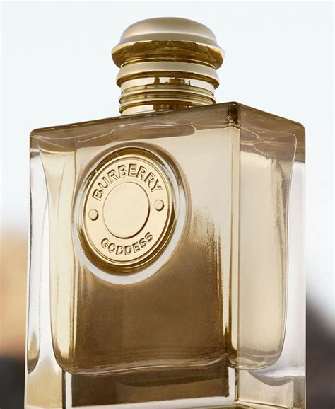 perfume burberry antigo|macy's Burberry.